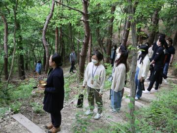 Meditation Camp